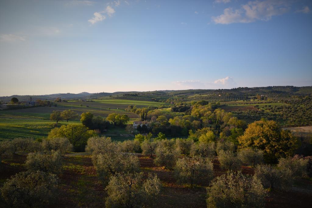Agriturismo L'Aquilone Мальяно-ін-Тоскана Екстер'єр фото